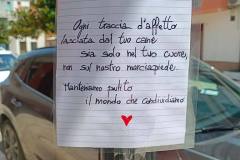 cartelli-centro-ssalvo-9