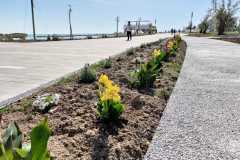 nuovo-lungomare-san-salvo-7