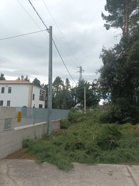 alberi-tagliati-san-salvo-2