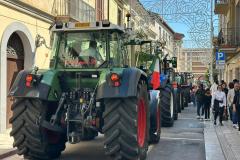 WhatsApp-Image-2026-04-28-at-15.10.02