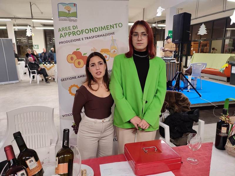 wine-festival-19