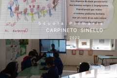 Carpineto1