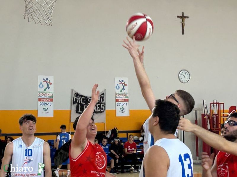 specialbasket2025-15