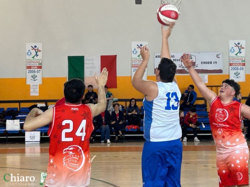 specialbasket2025-16