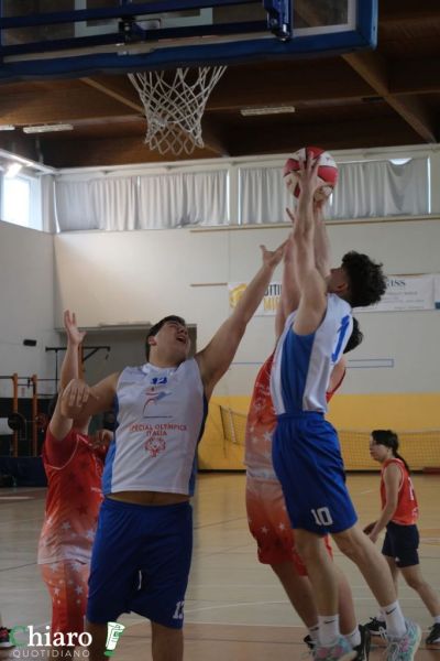 specialbasket2025-2
