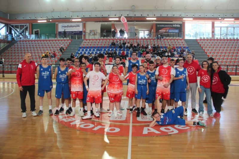 specialbasketpalabcc-101