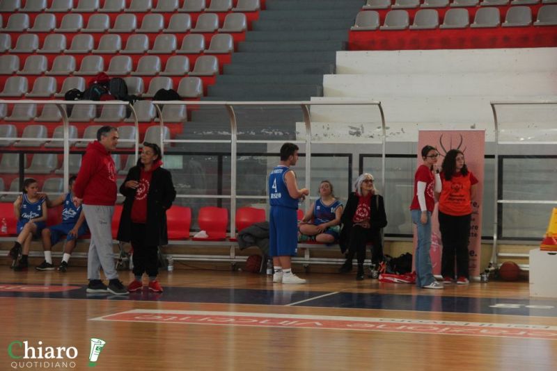 specialbasketpalabcc-11