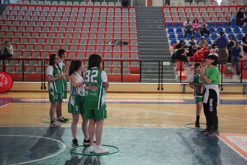 specialbasketpalabcc-118