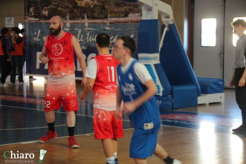 specialbasketpalabcc-12