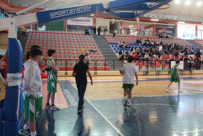 specialbasketpalabcc-123