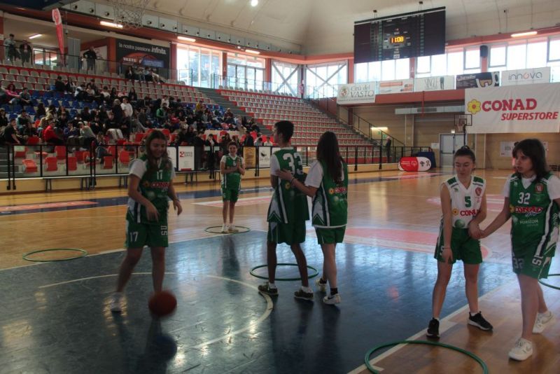 specialbasketpalabcc-125