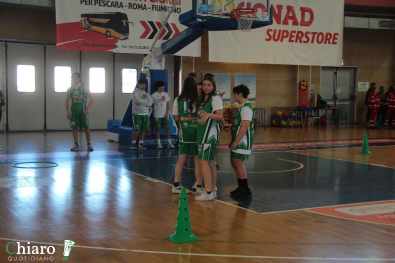 specialbasketpalabcc-131