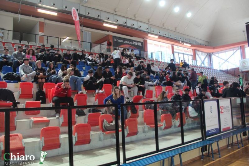 specialbasketpalabcc-135