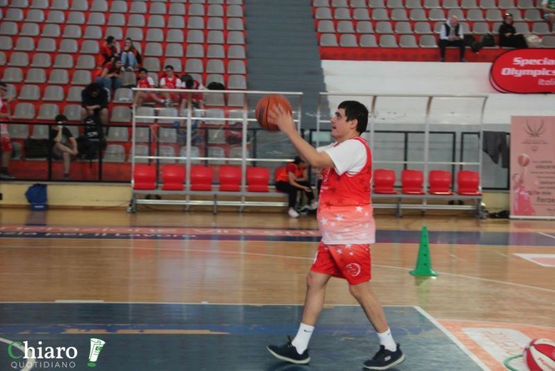 specialbasketpalabcc-138