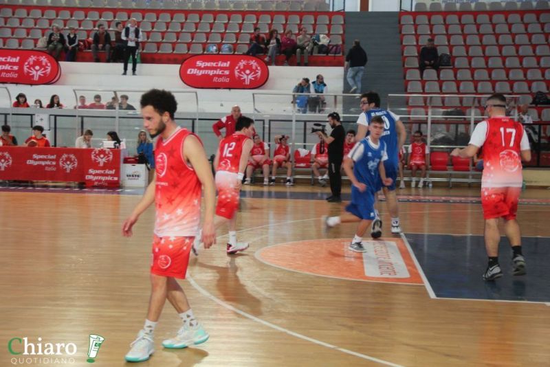 specialbasketpalabcc-7