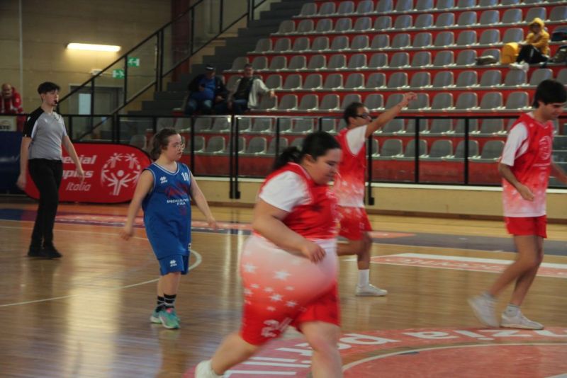 specialbasketpalabcc-89