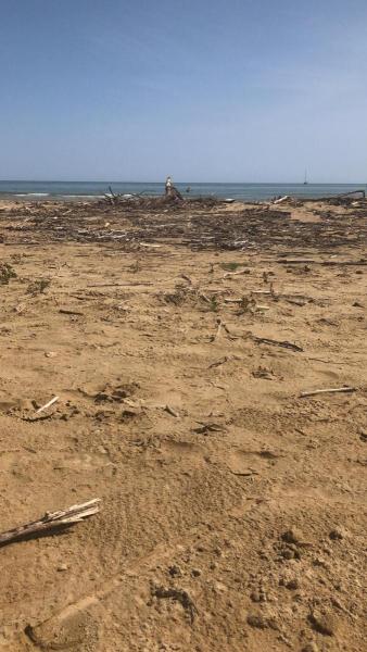 punta-penna-spiaggia-sporca-3