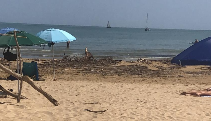 punta-penna-spiaggia-sporca-4