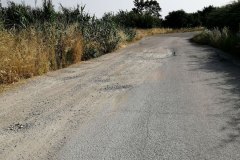IMG_20220621_082344