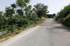 IMG_20220621_094941