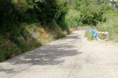 IMG_20220621_164913