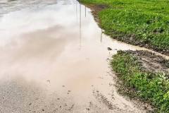 strade-stellantis-4