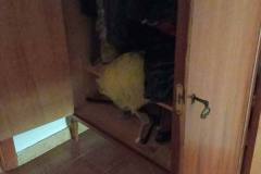 tentato-furto-6