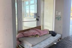 terminal-bus-bivacco