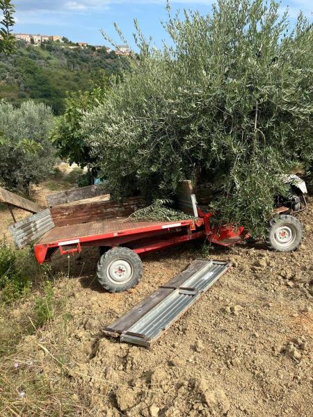 incidente-agricolo-pollutri-26lug2023