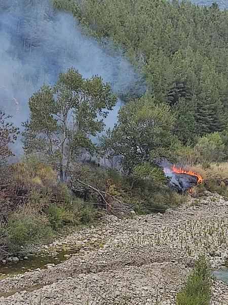 incendio-trigno-27ago2024-2