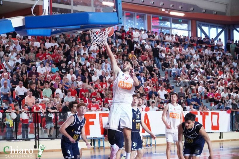 vastobaskettermoligara3-102