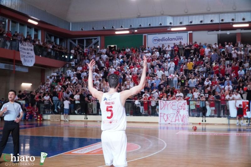 zvastobaskettermoli-102