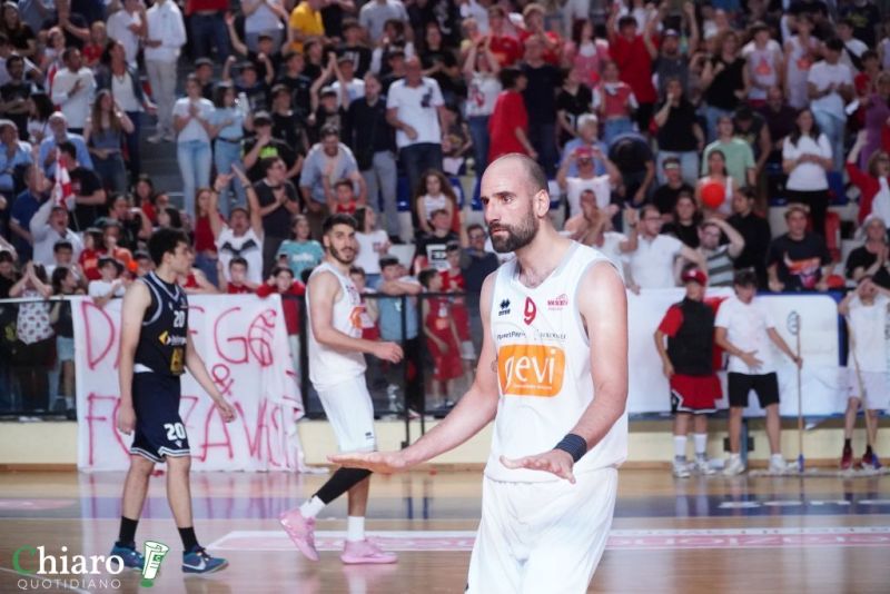 zvastobaskettermoli-104