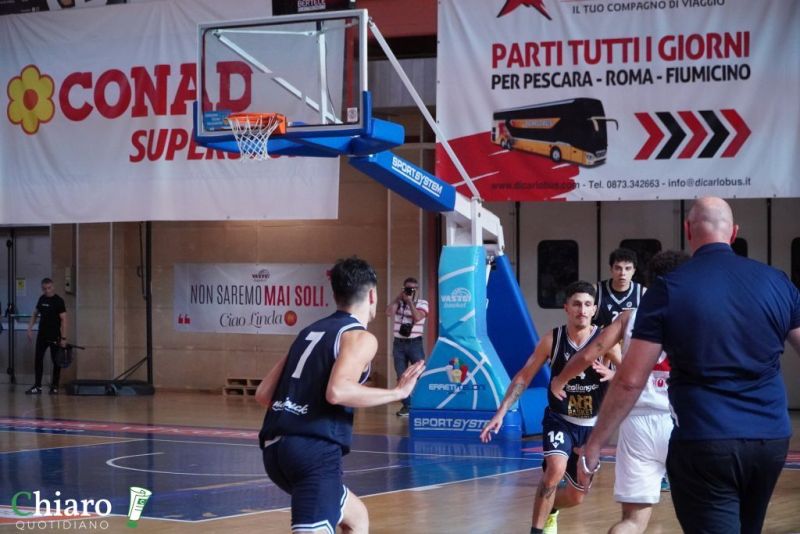 zvastobaskettermoli-107