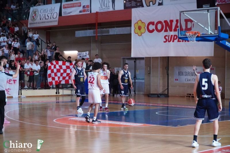 zvastobaskettermoli-108