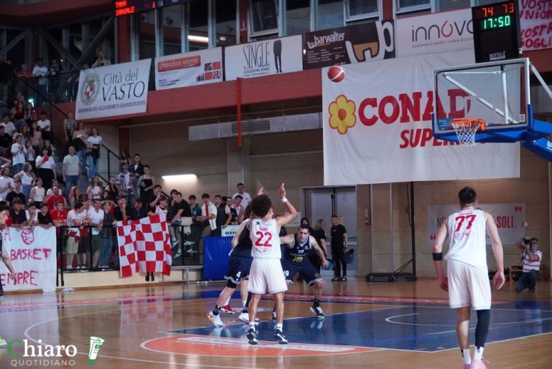 zvastobaskettermoli-109