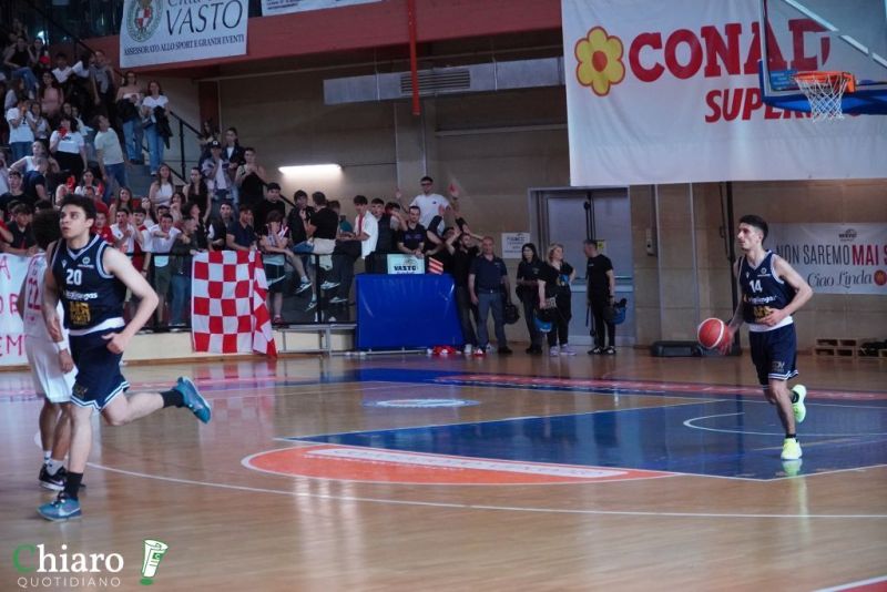 zvastobaskettermoli-110
