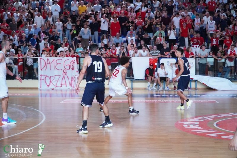 zvastobaskettermoli-111