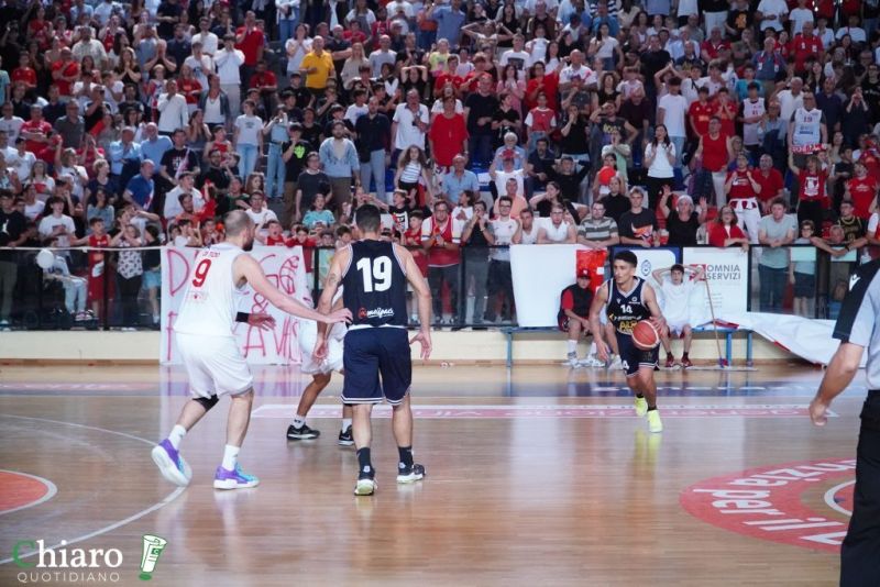 zvastobaskettermoli-112