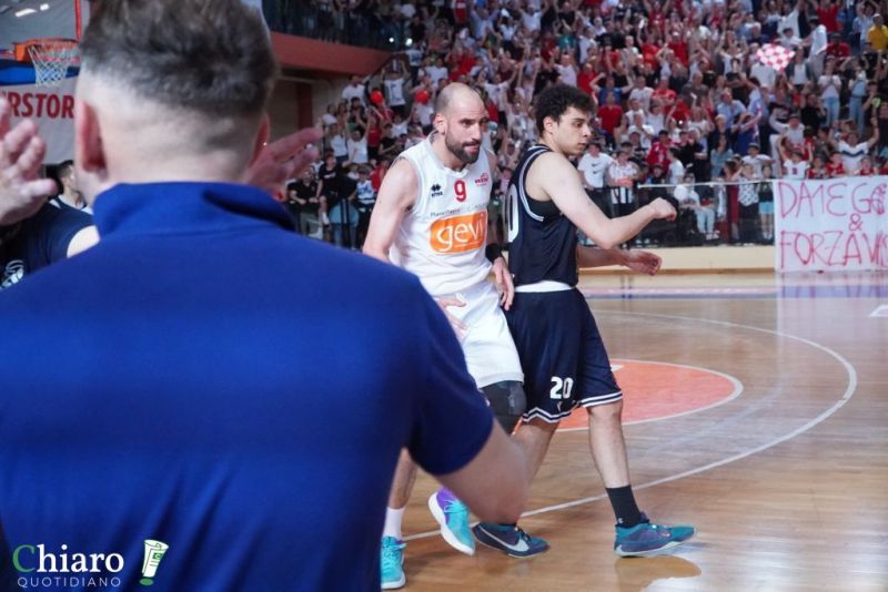 zvastobaskettermoli-115