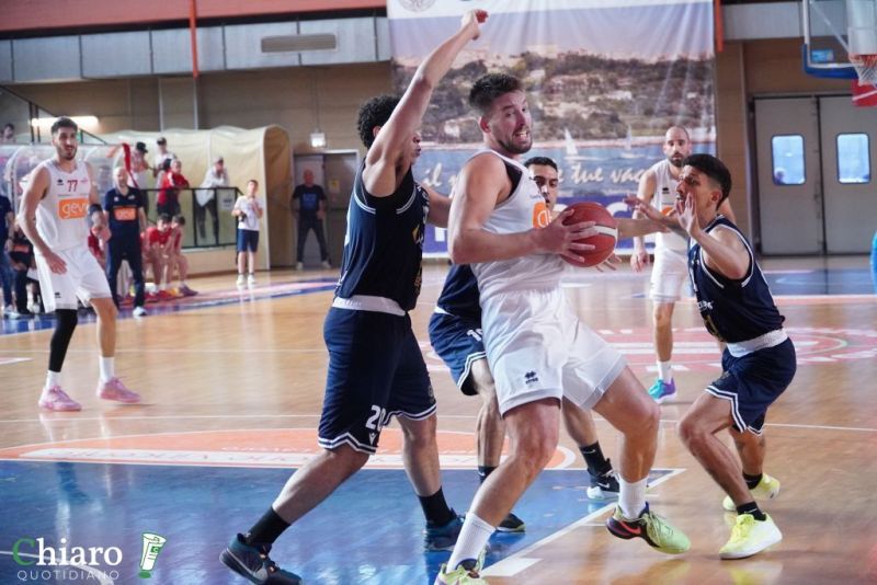 zvastobaskettermoli-12