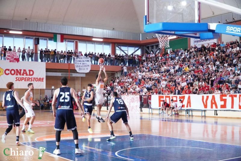 zvastobaskettermoli-14