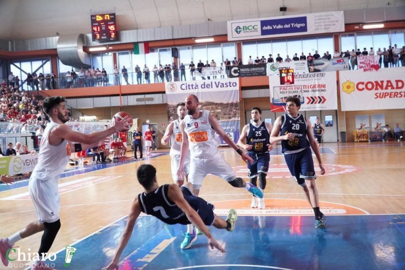 zvastobaskettermoli-18
