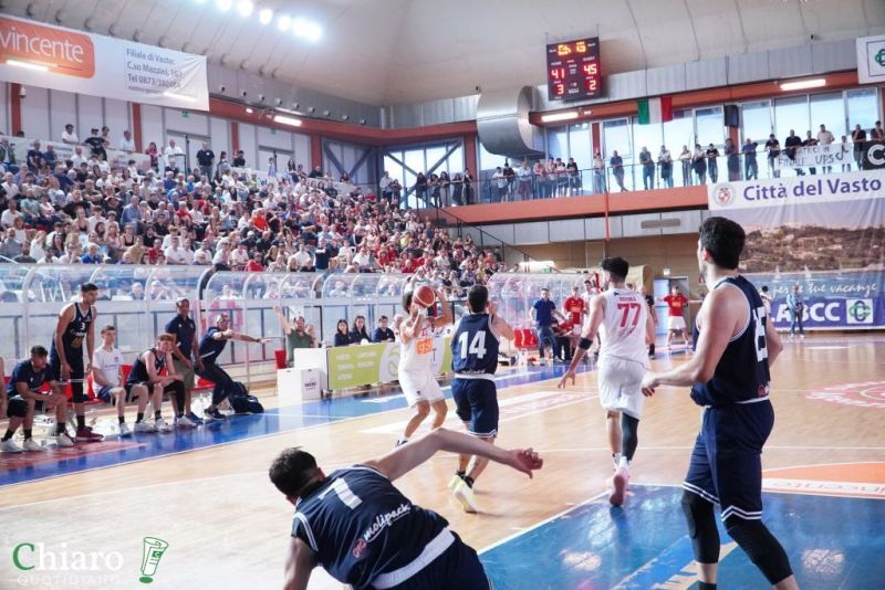 zvastobaskettermoli-19