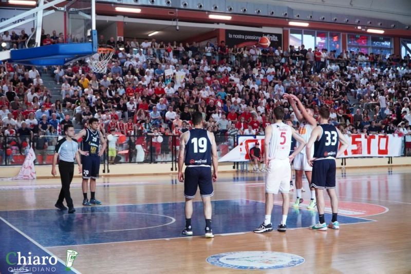 zvastobaskettermoli-2
