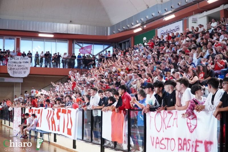 zvastobaskettermoli-24