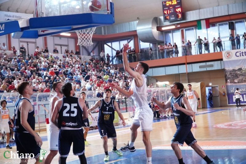 zvastobaskettermoli-25