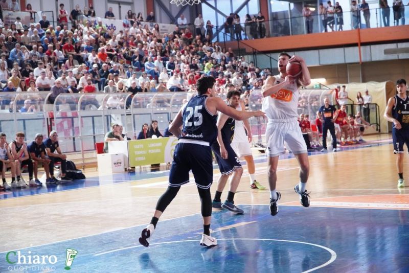zvastobaskettermoli-26