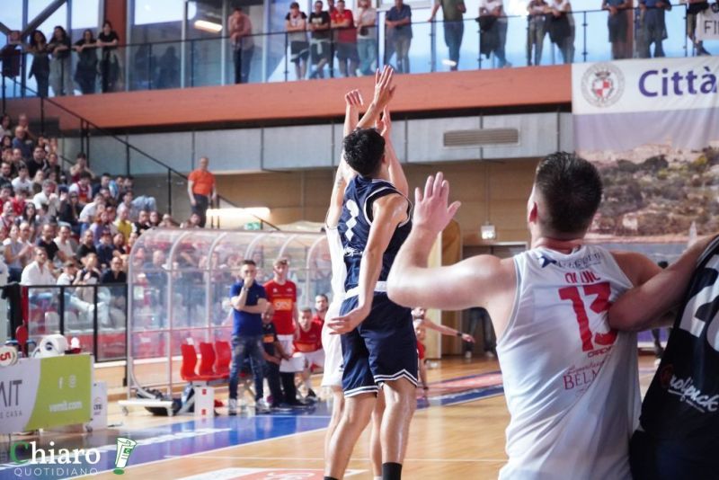 zvastobaskettermoli-29