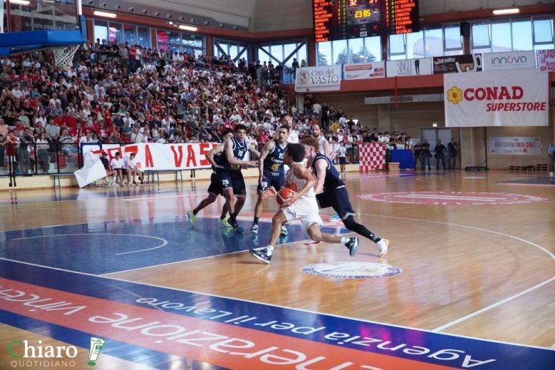 zvastobaskettermoli-3